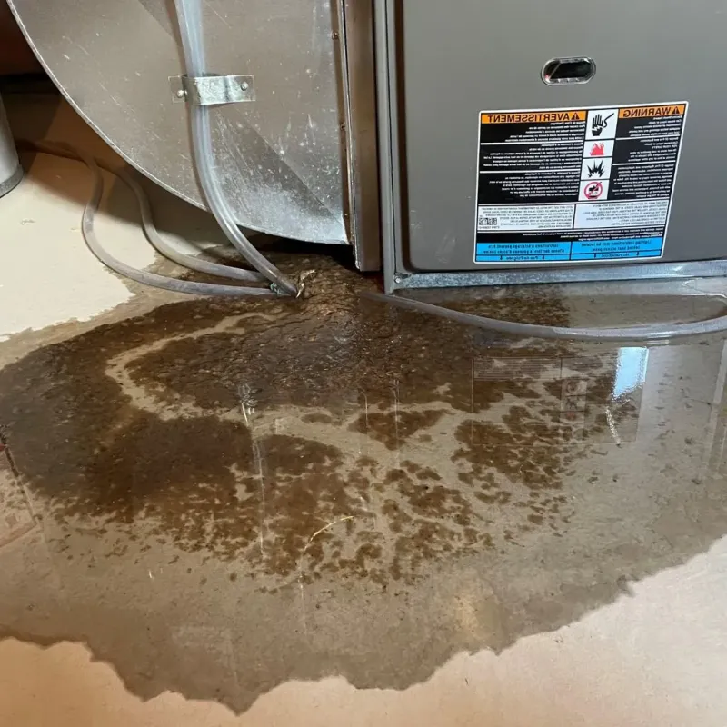 Pipe Burst and Leak Restoration in Sherborn, MA